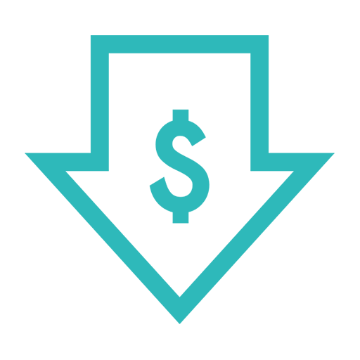 Cost Efficiency