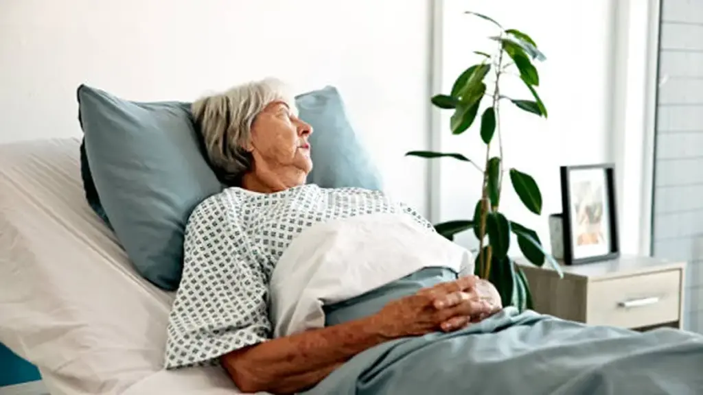 types of hospital beds2